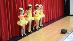 Dancers Elite performers 2 10 19