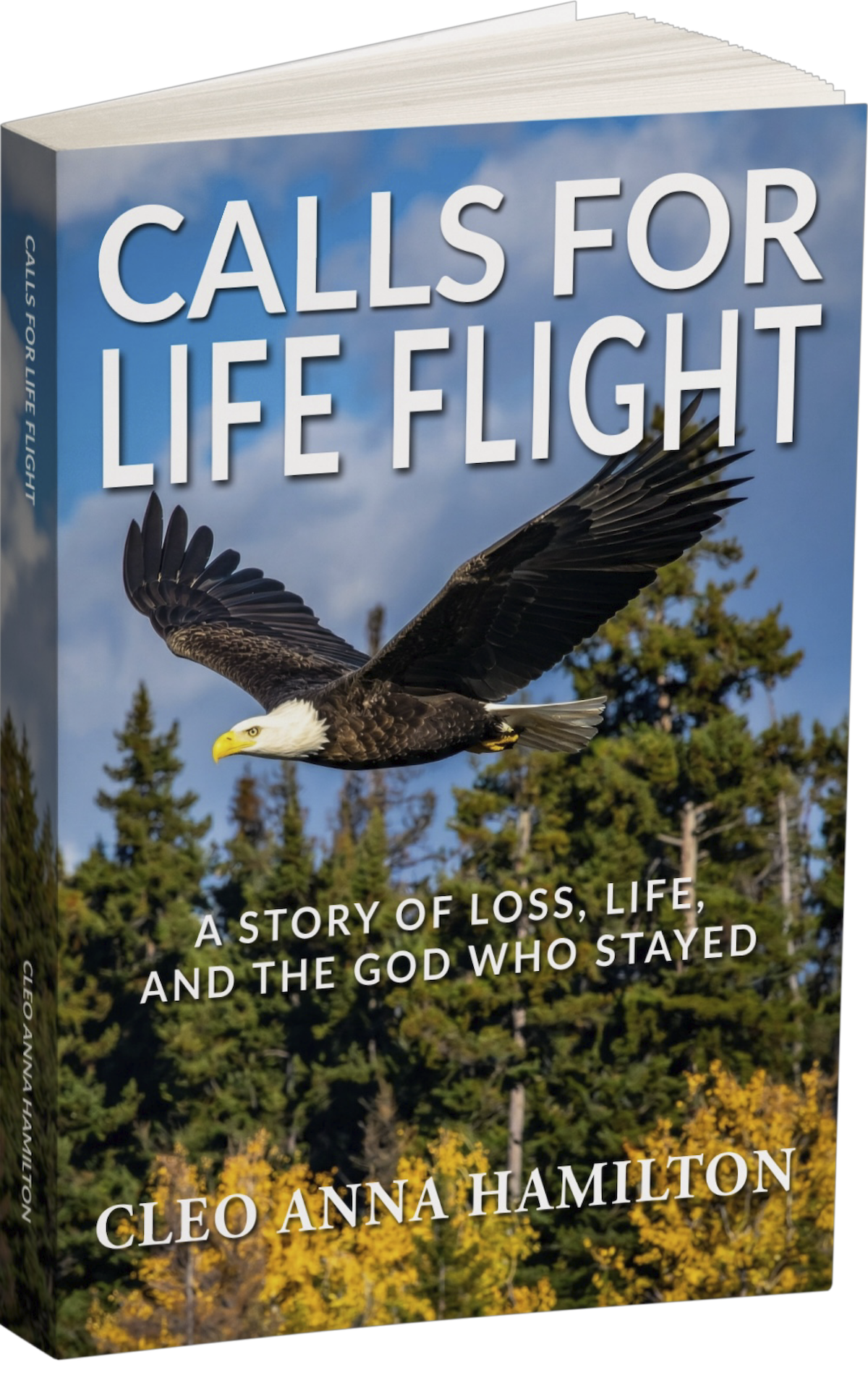 Gossman publishes Calls for Life Flight