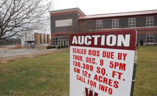Pandora plant up for auction