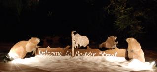 Welcome to Beaver Stret