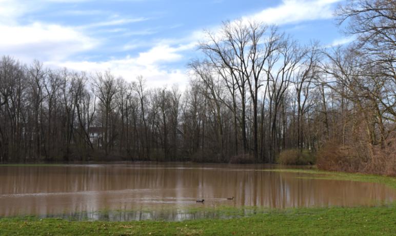 Old baseball field behind Musselman Library