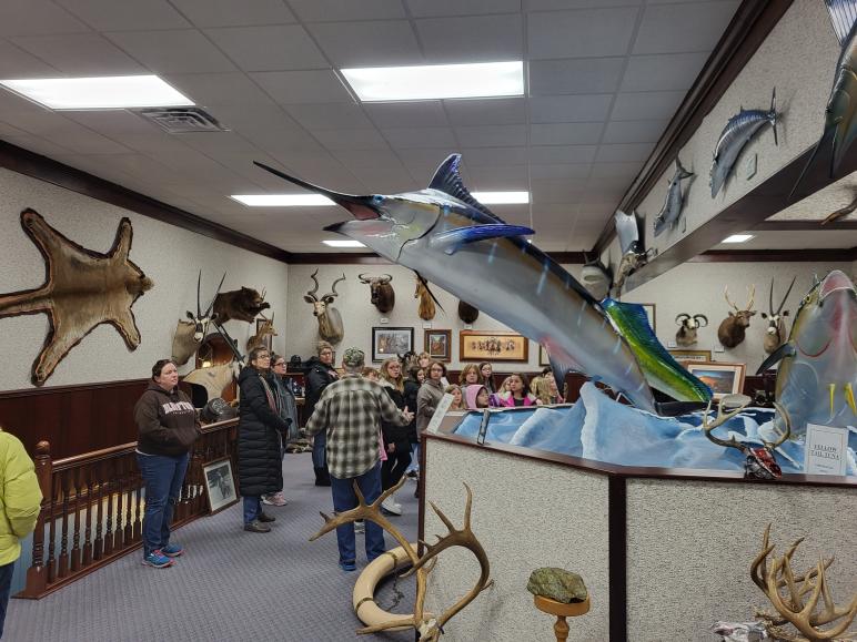 Preserved fish at Clymer Wildlife Museum