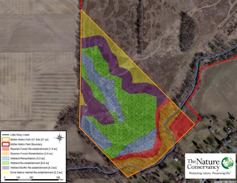 Details of wetlands mitigation in Motter Metro Park