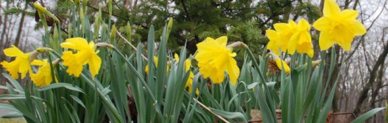If April showers bring May flowers...