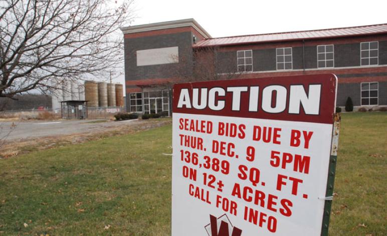 Pandora plant up for auction