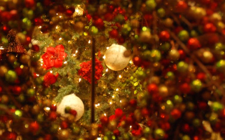 Little Red Barn's "red" Christmas window