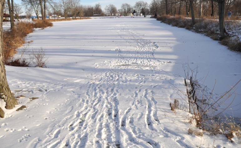 Walking on frozen water