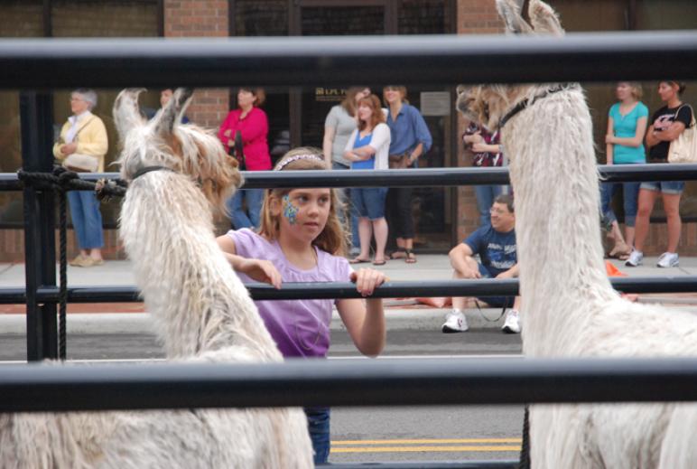 Arts, crafts and llamas