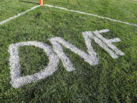 DMF on Spike Berry Field
