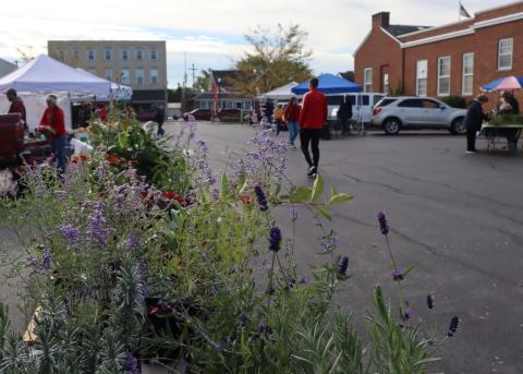 Fall planting season is here