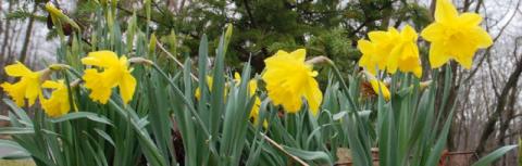 If April showers bring May flowers...