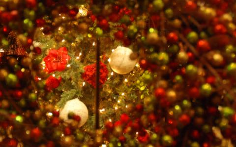 Little Red Barn's "red" Christmas window