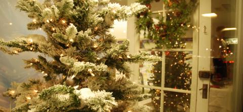White Christmas at Greg's Pharmacy