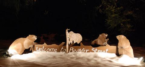 Welcome to Beaver Stret