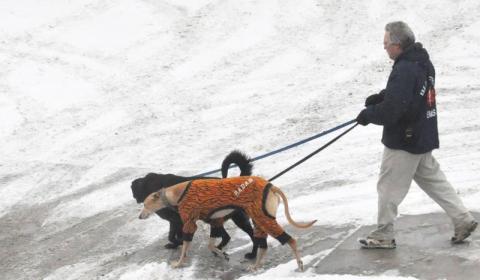 Making footprints in the snow