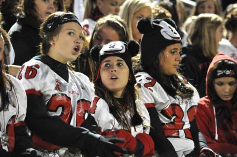 The Three Mouseketeers