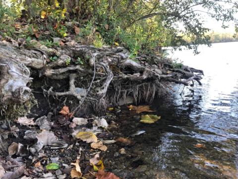A wild, wet, secluded spot in Bluffton