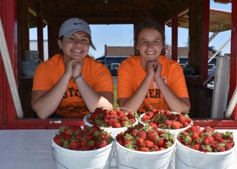 Suter Produce strawberries