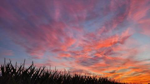 PHOTO by Jodi Brauen