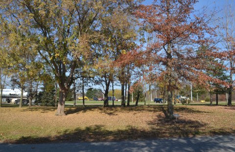 Bluffton arboretum / PHOTO by Levi Sutkay