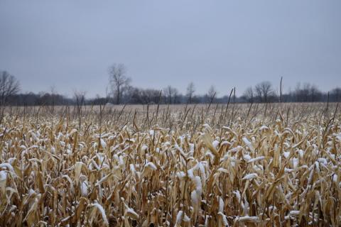 First snow of Fall 2022