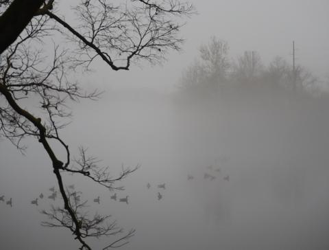 Cobb Lake January 2, 2023