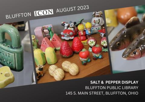 Vintage salt & pepper collection at Bluffton Public Library