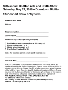2011 student art show entry form