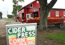 Suter's cider press and corn maze